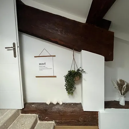 Louis Xiv, Le Somail. *