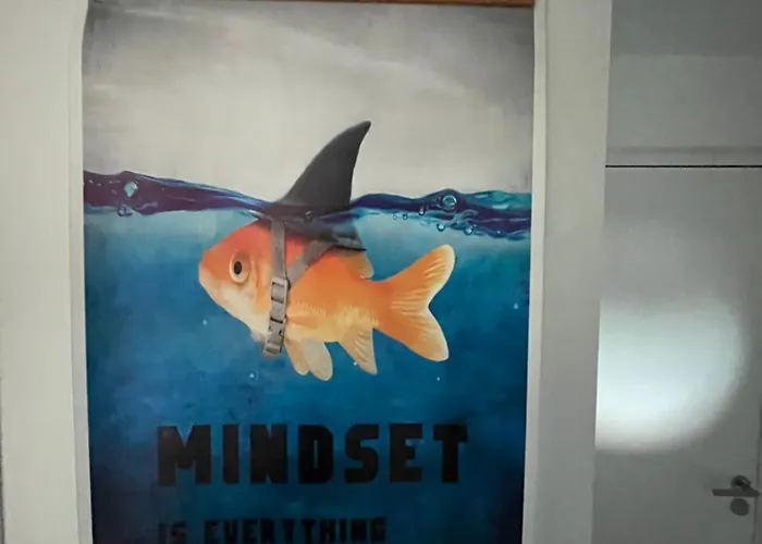 Louis Xiv, Le Somail.